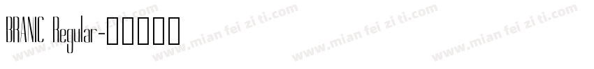 BRANIC Regular字体转换